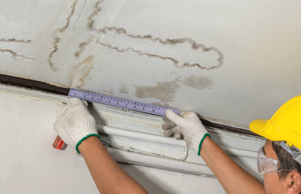 Reliable Mold Remediation contractor in Cornish, ME by Water Damage Irwin